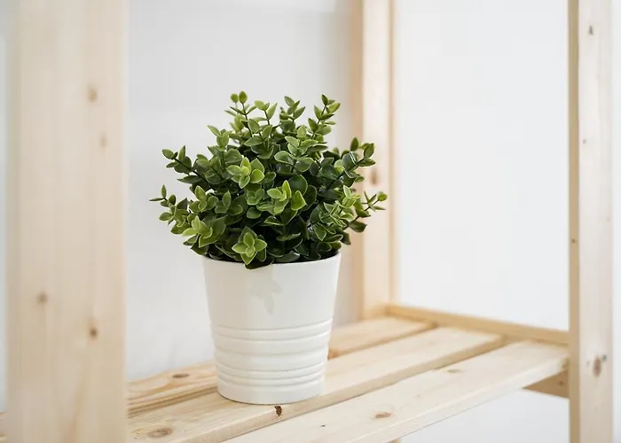 Апартаменты Guestready - Casegas In Marques *