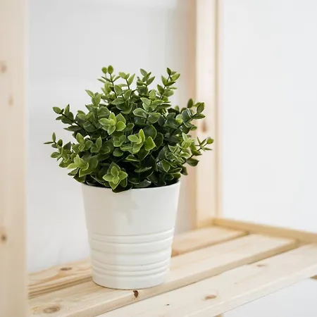 Apartmán Guestready - Casegas In Marques *